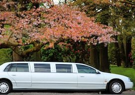 christchurch limo hire