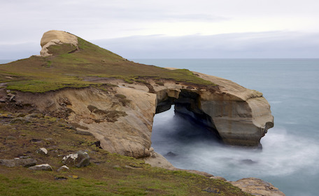 dunedin attractions