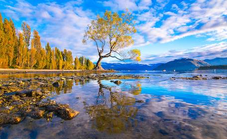 wanaka bucks attractions