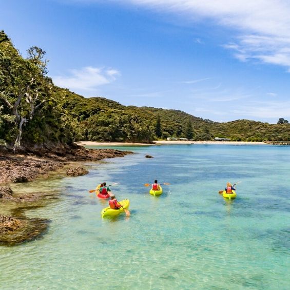 activities in bay of islands kayaking