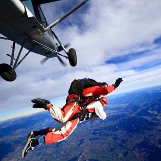 activities to do in bay of islands skydiving