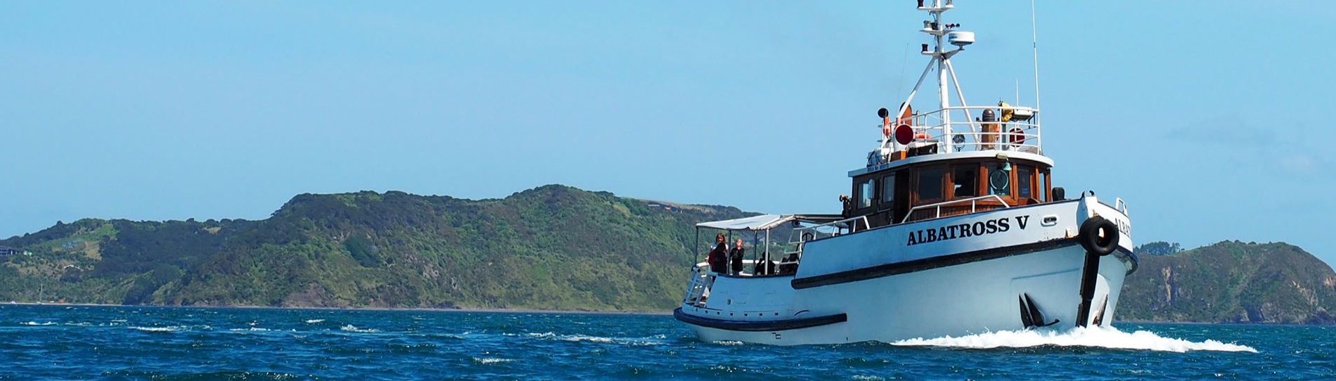bay of islands bucks cruise