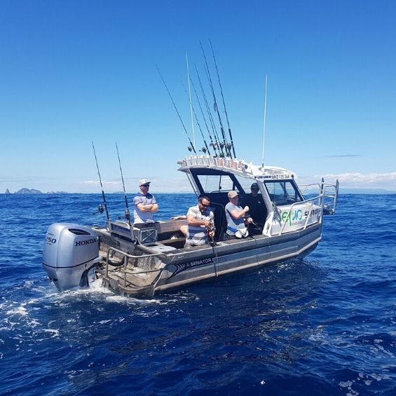 tauranga activities bucks fishing trip