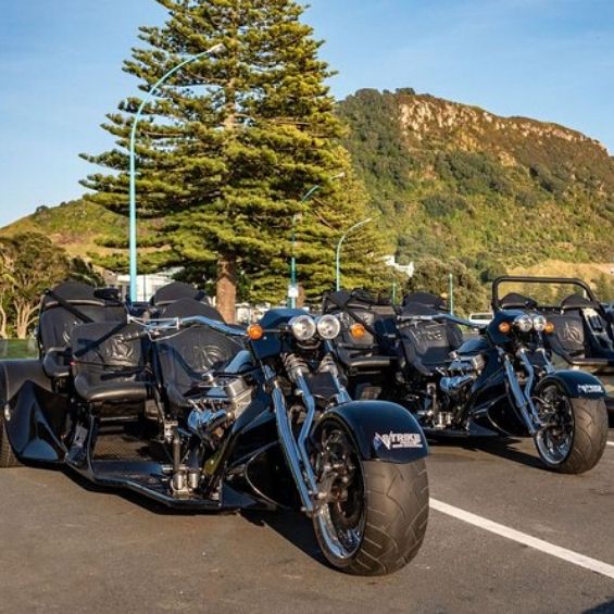 activities in tauranga for bucks v8 trike tours