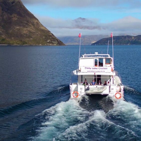 activities bucks wanaka cruise