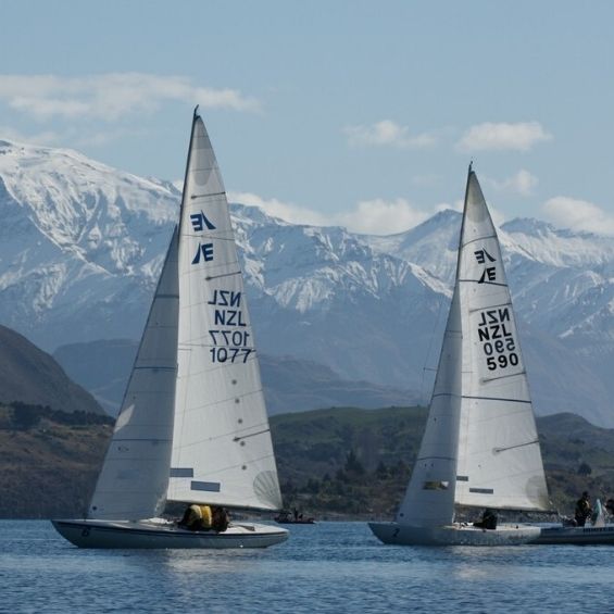 activities bucks wanaka yacht tour