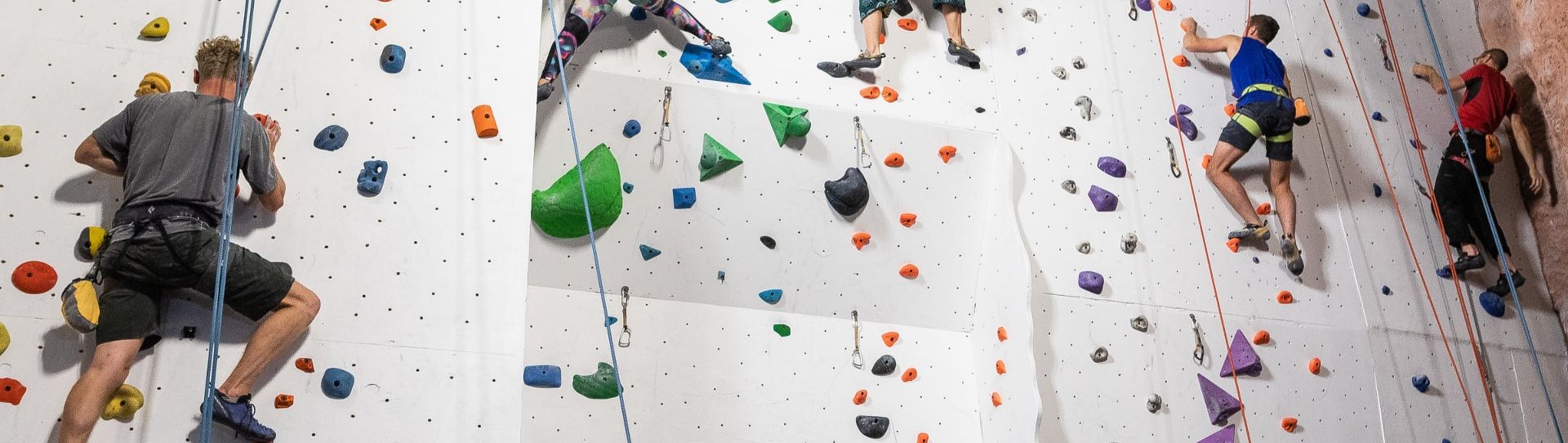 🦌 Indoor Rock Climbing Tauranga Wicked Bucks