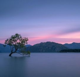 wanaka stag party ideas and activities