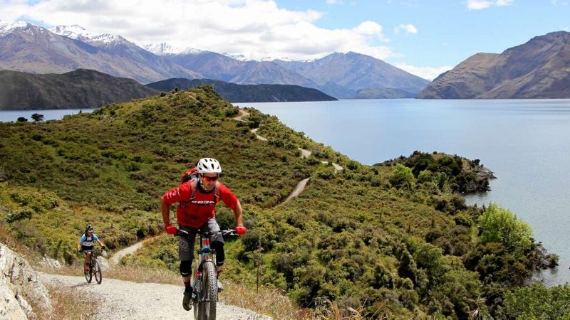 mountain bike trail in wanaka new zealand