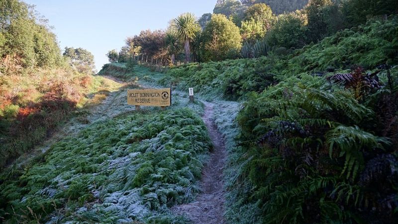 mt ngongotaha scenic reserve