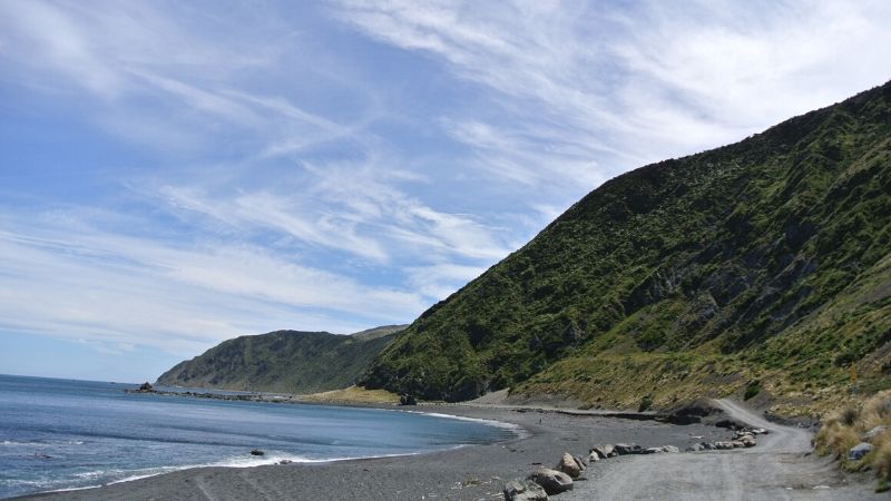 red rocks beach wellington 