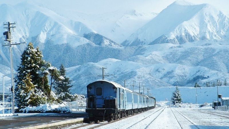 the tranzalpine train christchurch nz