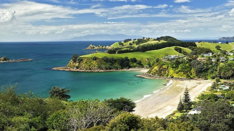 waiheke island auckland attractions wicked bucks 