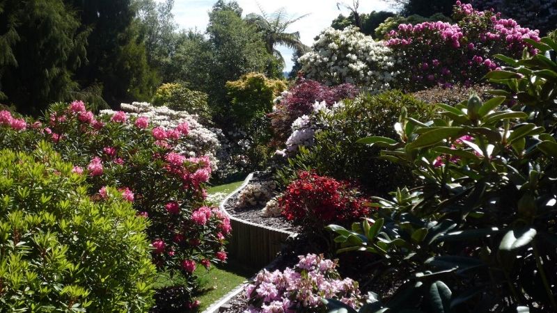 waipahihi botanical reserve taupo