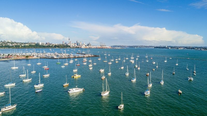 waitemata harbour auckland attractions wicked bucks 