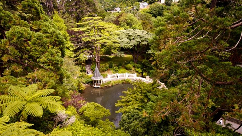 wellington botanic gardens wicked bucks attractions