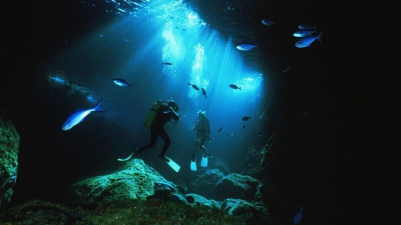 diving and snorkleing in bay of islands new zealand