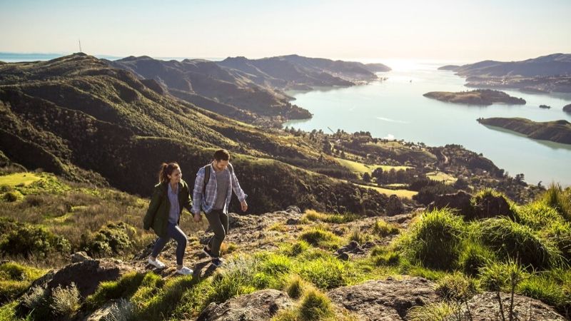 hiking in christchurch wicked bucks attractions 