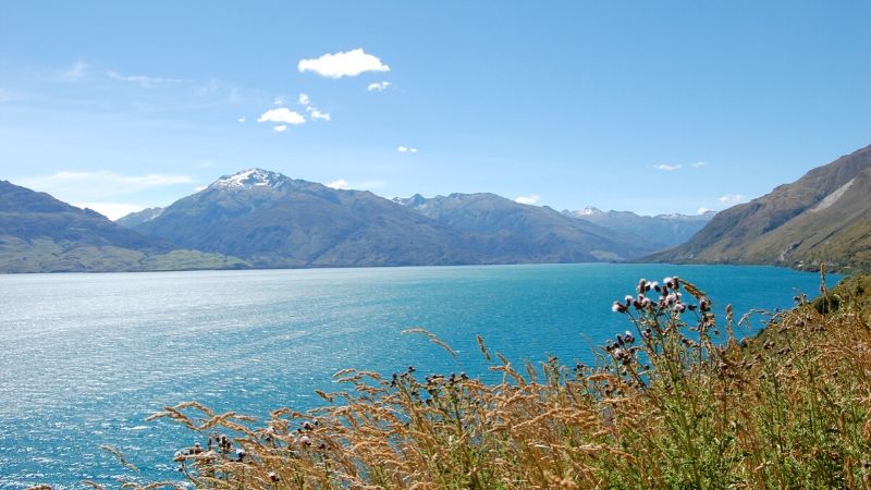 lake wanaka wicked bucks attractions