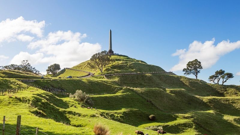one tree hill auckland attractions wicked bucks 
