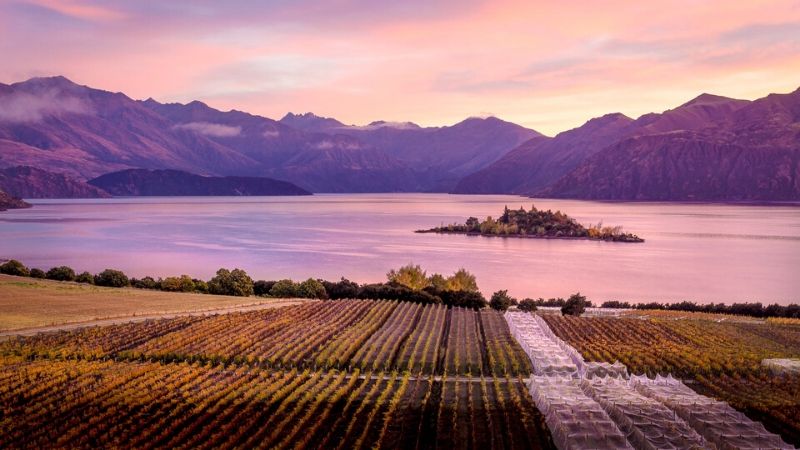 rippon vineyard in wanaka new zealand 