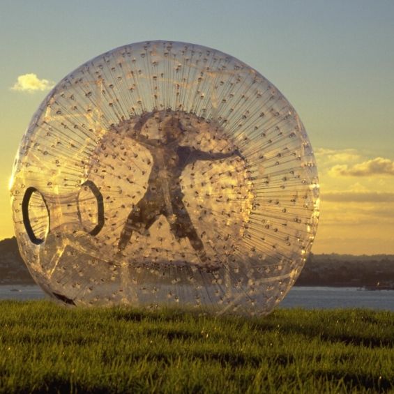 rotorua wicked bucks zorbing