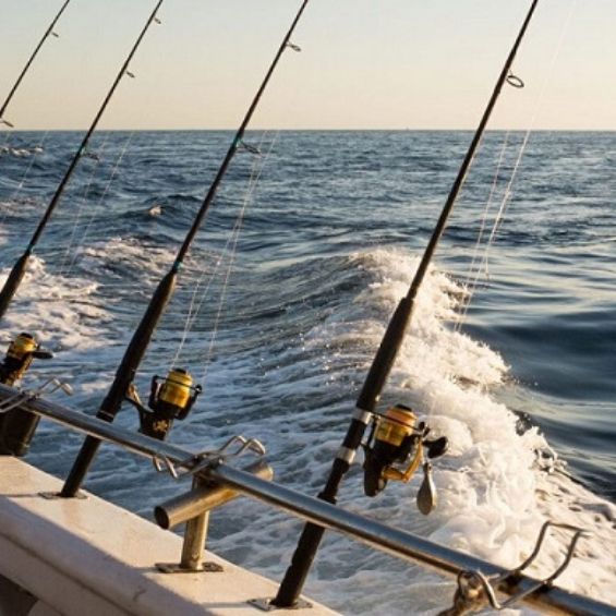 fishing and boating in rotorua new zealand