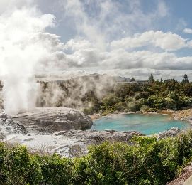 things to do in rotorua wicked