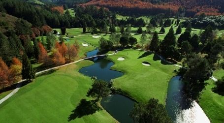 golf course in rotorua wicked bucks