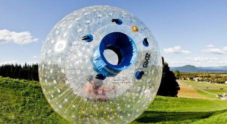 zorb balls wicked bucks