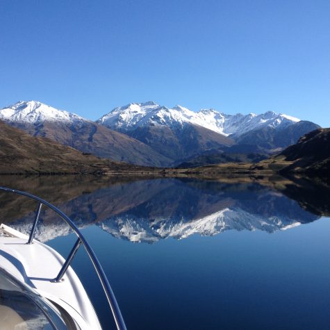 lake wanaka boat cruise wicked bucks