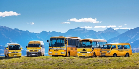 wanaka wicked bucks transport