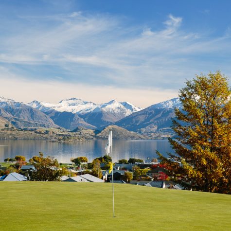 wicked bucks wanaka golf course