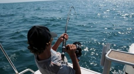 tauranga wicked bucks fishing