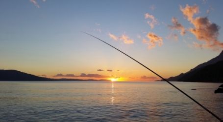 wanaka fishing charter