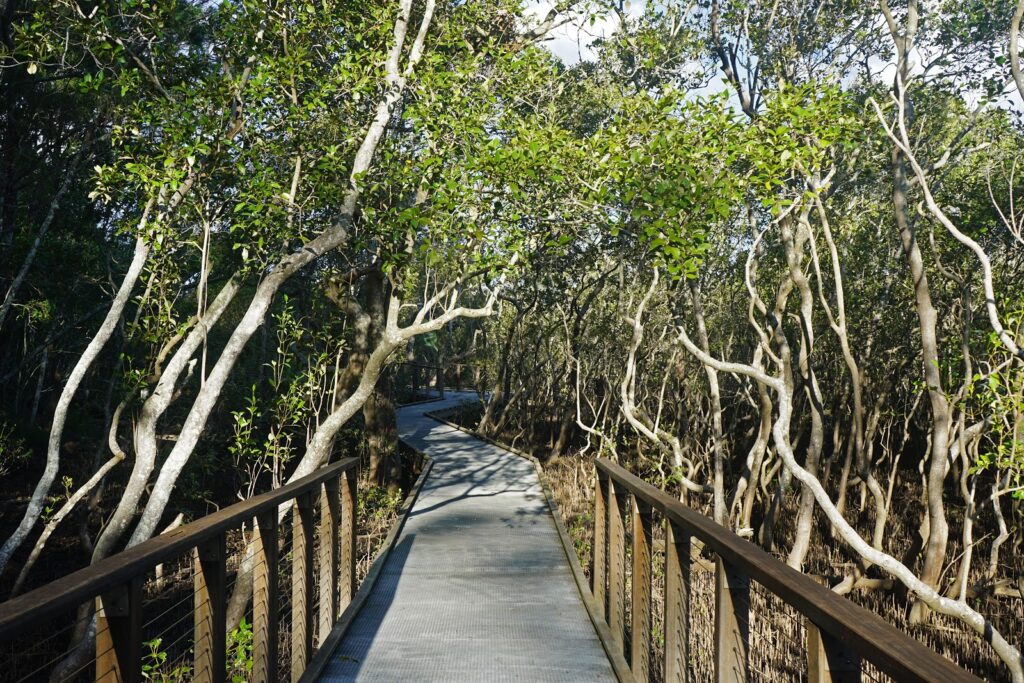 hiking gold coast